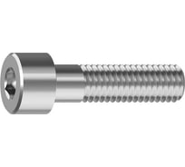 Винт Море-Метизов DIN 912 нержавеющий A2 M5х8 VINT912А25820М
