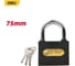 Замок навесной Deli стальной, 75мм DL508909, 3 ключа, латунная личинка 179403 2