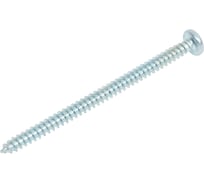 Саморез ZAMETAL 3,9x60 с полукруг. гол., крест. шлиц, DIN 7981, оц., уп. 200 шт. ZA521668