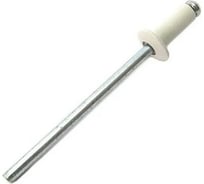 Комбинированные заклепки KITKREP 3,2х8, цинк, RAL 9003, 1000 шт. RIR9003-32008G1