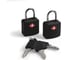 Замок Pacsafe Prosafe 620 черный 10210100 1