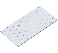 Пластина соединительная BlackWeld 100х200 оцинкованная 100шт 145197