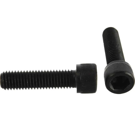 Винт ЦКИ DIN912 ISO12474 М10х1,25х20-20 8.8 HEX8 10 шт 77993 1