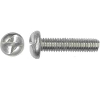 Винт ЦКИ антивандальный арт.9131 М6х70мм A2 10шт 71376088