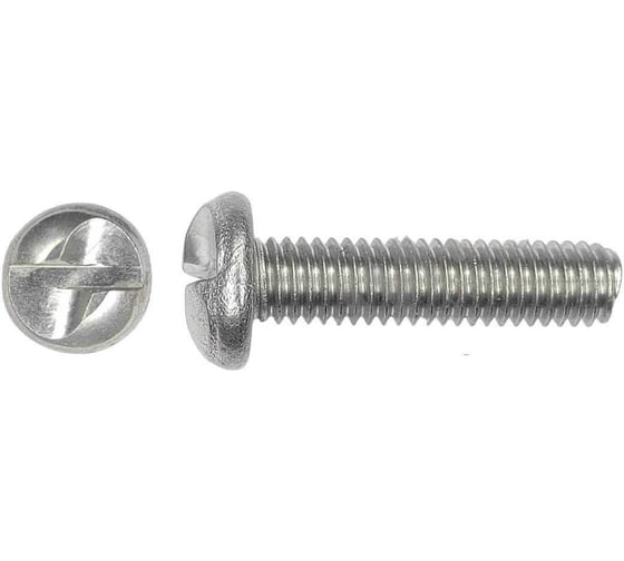 Винт ЦКИ антивандальный арт.9131 М6х70мм A2 10шт 71376088 1