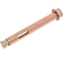 Анкерный болт с гайкой SWFS 12х100, 2 шт. пакетик тов-111573