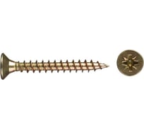 Саморез SWFS ШУЖ 5х40, 10 шт. пакетик тов-091904