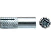 Забивной анкер SWFS М6, 6 шт. пакетик тов-111544