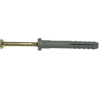 Дюбель-гвоздь SWFS 8L120, 2 шт. пакетик тов-187573