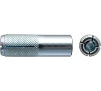 Забивной анкер SWFS М16, пакетик тов-111703