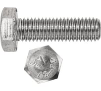 Болт Евразия DIN 933 А2 M8x30, нержавеющая сталь (20шт.) 4687207142588
