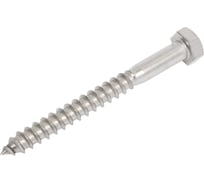 Шуруп Госкреп DIN 571 нерж. 8х80, 4 шт, тк=10, 14-0022097