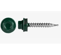 Саморез кровельный TOOLAS 4,8 х 29 (6005 зеленый) 1кг. 1109371