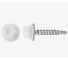 Саморез кровельный TOOLAS 4,8 х 29 (9003 белый) 1кг. 1109372 1