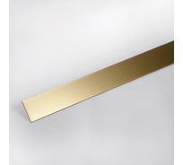 Декоративная полоса Forming P1 h=20 нержавеющая сталь AISI 304 0,8 мм Gold Sanblasted длина 1500 3025