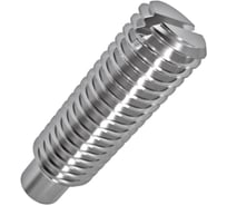 Винт установочный ООО Иж-Тандем Иж-тандем с цапфой прям/шл 10х16 DIN 417 А1 (10 шт) 180369