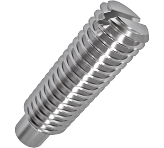 Винт установочный ООО Иж-Тандем Иж-тандем с цапфой прям/шл 10х16 DIN 417 А1 (10 шт) 180369 1