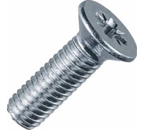 Винты с потайной головкой ООО Иж-Тандем Иж-тандем 4х55-цинк DIN 965 (200 шт) 180366