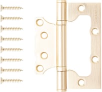 Петля накладная APECS 100*75*2,5-B2-Steel-GMS 00035461