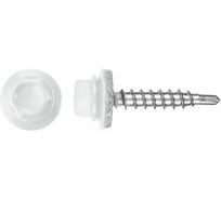 Саморез кровельный Госкреп 4,8х51 RAL 9003 (белые) 170 шт.,-пл.конт 1150 мл (тк=6) 2-0021846