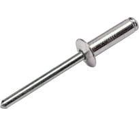 Заклепка вытяжная STARFIX 6.0х10 мм сталь/сталь, цинк (50 шт в пласт. конт.) SMP2-42588-50