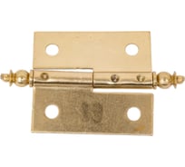 Петля Amig IZ-П покрытие латунь 541-40 (IZ)