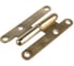 Петля Amig IZ-П покрытие латунь 405 R-9,5 (IZ) 2