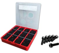 Винты 23 БОЛТА М2 и М2,5 черные к.п.12.9 DIN912 в органайзере набор 2 20000082