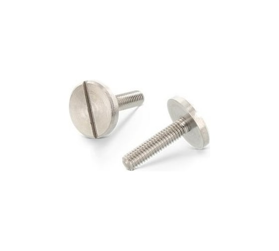 Винт ЦКИ DIN 921, М6x10, A1, 50 шт. 69358 1