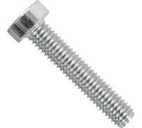Винт ЦКИ DIN 7984, М6x10, A4, HEX 4, 100 шт. 69538