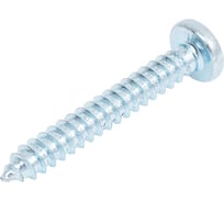 Саморез Квадра DIN 7981 5.5x38 цинк, кор. 100 шт., полусфера, шлиц PH3, острый 815538020100