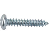 Саморез Квадра DIN 7981 4.8x25 цинк, уп. 10 шт., полусфера, шлиц PH2, острый 814825010812