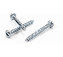 Саморез Квадра DIN 7981 3.5x32 цинк, кор. 500 шт., полусфера, шлиц PH2, острый 813532050500
