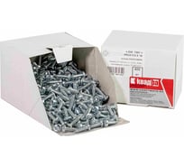 Саморез Квадра DIN 7981 5.5x19 цинк, кор. 400 шт., полусфера, шлиц PH3, острый 815519003400