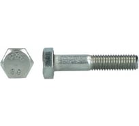 Болт Евразия DIN 931 кл.пр. 8.8 М8x70 цинк-ламель (50 шт.) 4687207176675