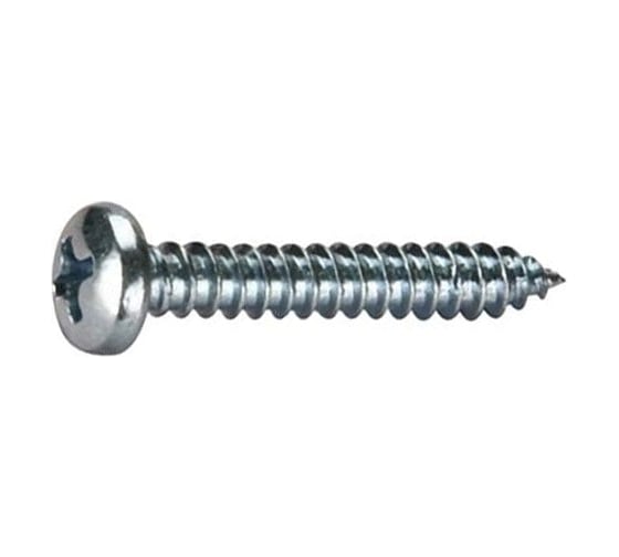 Саморез Евразия DIN7981 полукруглая голова форма F тупоконечный 4,2х25 цинк (8000 шт.) 4687207176750 1