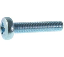 Винт Евразия DIN 7985 полукруглый М10x30 цинк-ламель (500 шт.) 4687207176705