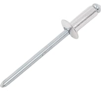 Заклепка вытяжная STARFIX 4.8х14 мм сталь/сталь, цинк, 100 шт в пластиковом контейнере SMP2-30592-100