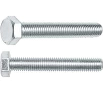 Болт STARFIX М10х65 мм шестигр, цинк, кл.пр. 8.8, DIN 933, 20кг SM-74632-20