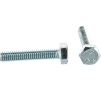 Gigant Болт DIN933 с шестигранной головкой оцинк. М6x30 60 шт 124003