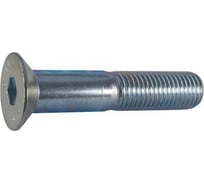 Винт ЦКИ DIN 7991, М6x50, A2, HEX 4, 100 шт. 69807