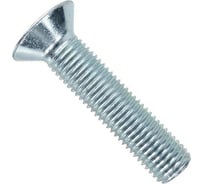 Винт ЦКИ DIN 7991, М6x20, A2, TX 30, 200 шт. 69799