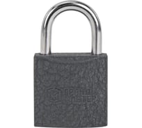 ГРАНДМАСТЕР Замок навесной чугунный 25мм Стандарт, 2 ключа, , Грандмастер 671289