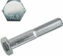 Болт boltnn.ru DIN 931 М16х40 10.9 цинк 20 шт 4687207352123