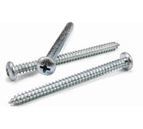 Саморез Квадра DIN 7981 4.8x60 цинк, кор. 100 шт., полусфера, шлиц PH2, острый 814860003100