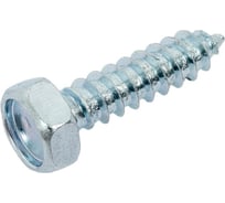 Саморез Квадра DIN 7976 4.8x19 цинк, кор. 500 шт., 6-гр. голова, острый 764801900500