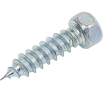 Саморез Квадра DIN 7976 5.5x19 цинк, кор. 400 шт., 6-гр. голова, острый 765519003400