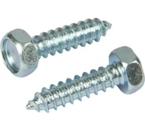 Саморез Квадра DIN 7976 5.5x32 цинк, кор. 250 шт., 6-гр. голова, острый 765532003250