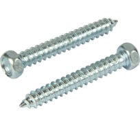 Саморез Квадра DIN 7976 5.5x38 цинк, кор. 50 шт., 6-гр. голова, острый 765538000750
