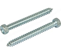 Саморез Квадра DIN 7976 5.5x50 цинк, кор. 4 шт., 6-гр. голова, острый 765550004812
